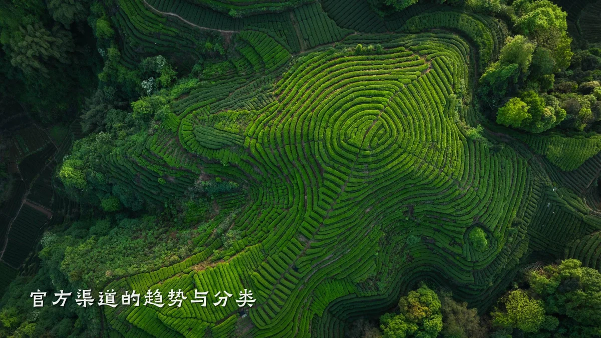 官方渠道的趋势与分类
