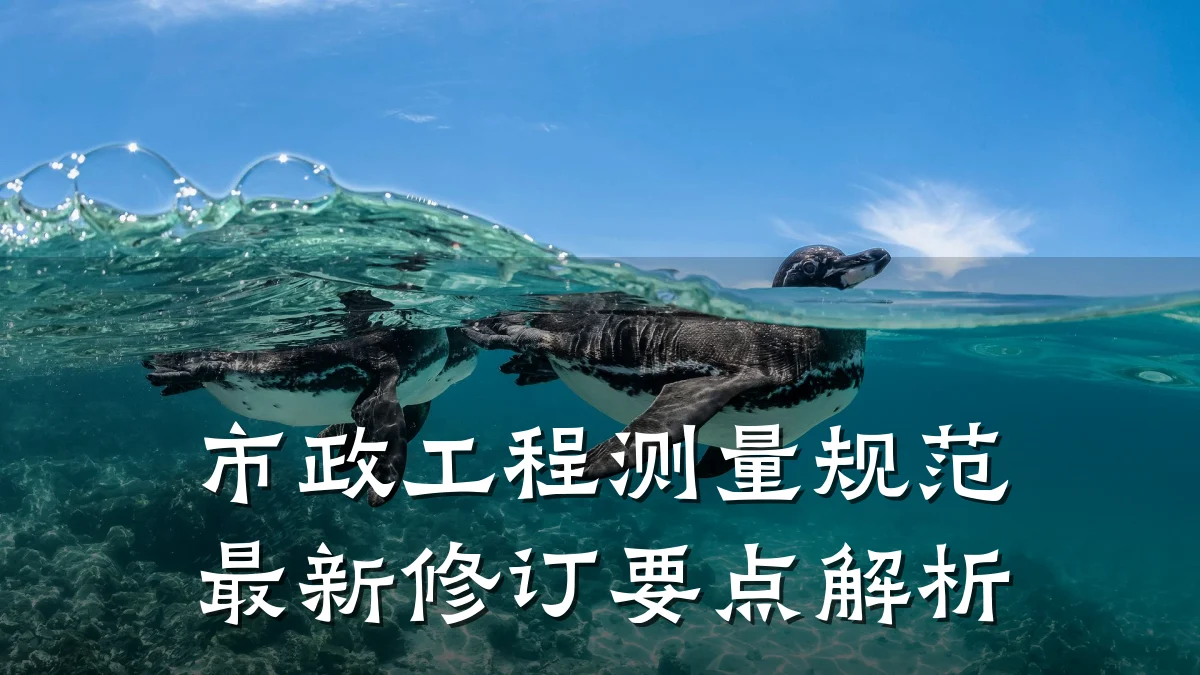 市政工程测量规范最新修订要点解析