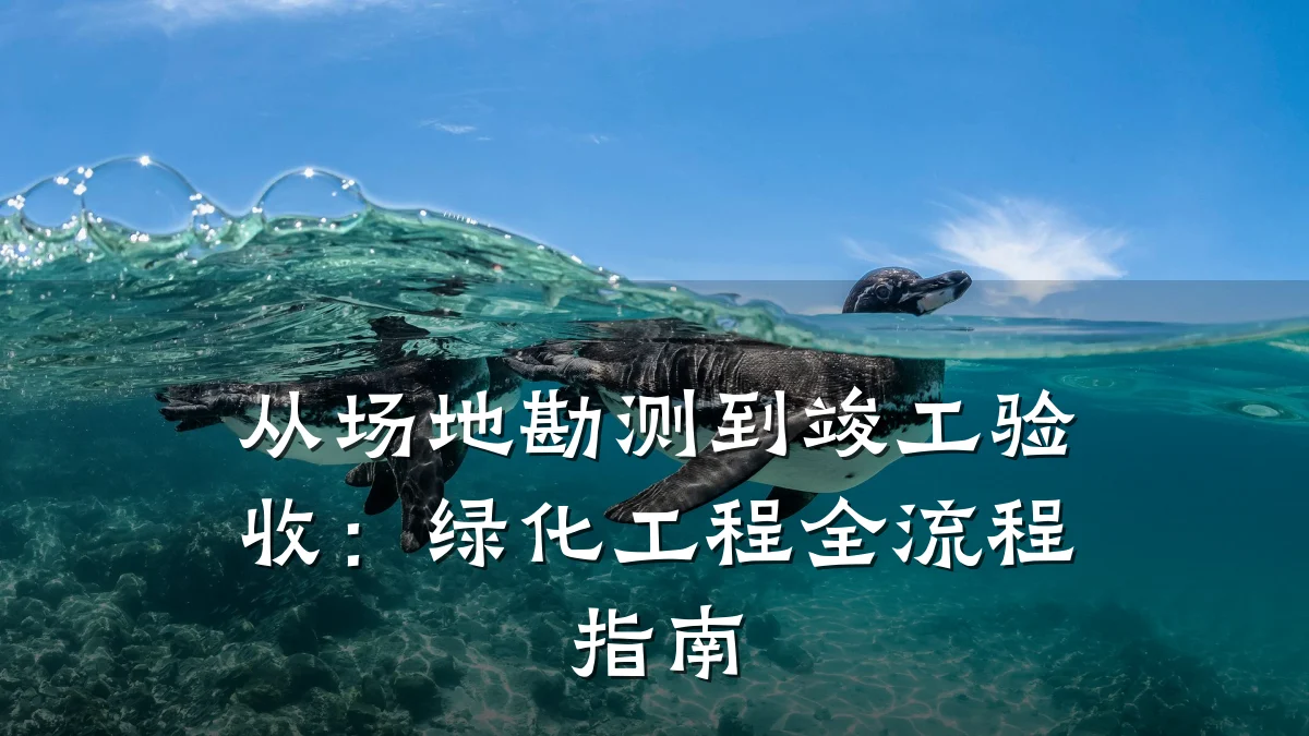 从场地勘测到竣工验收：绿化工程全流程指南