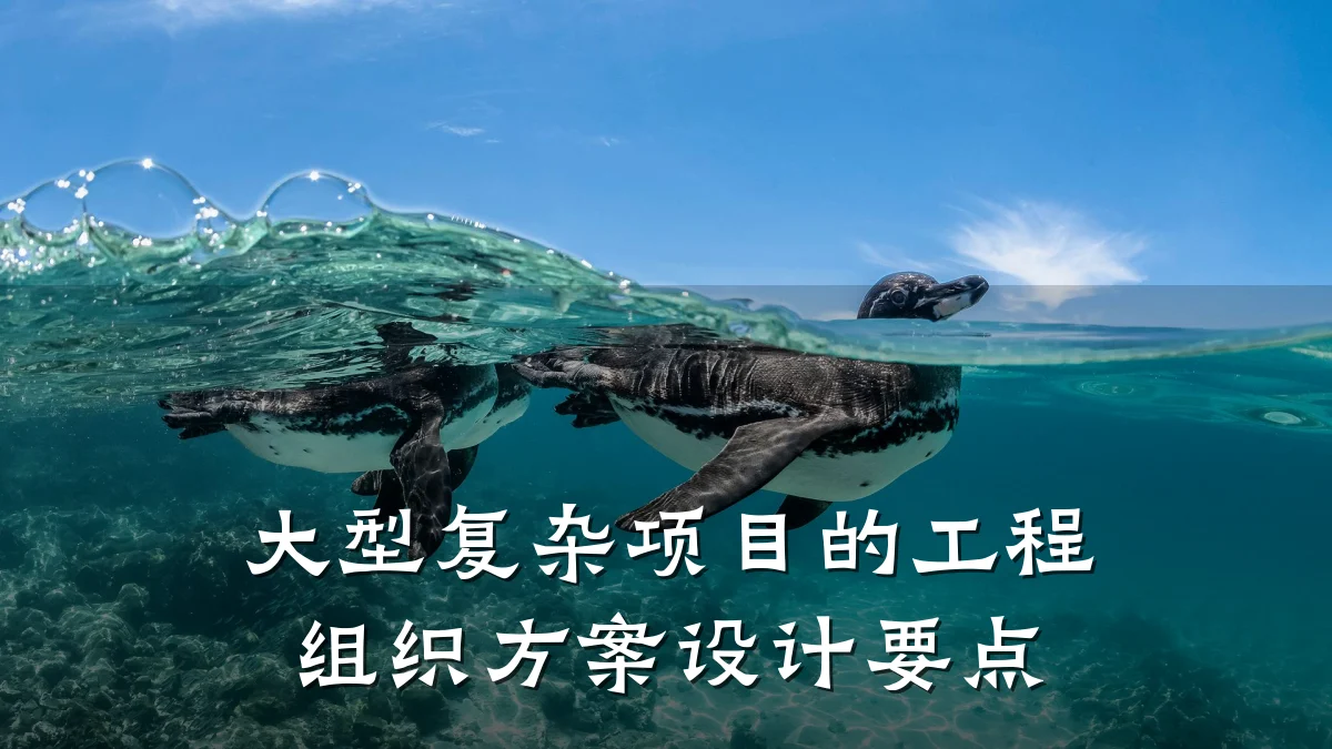 大型复杂项目的工程组织方案设计要点