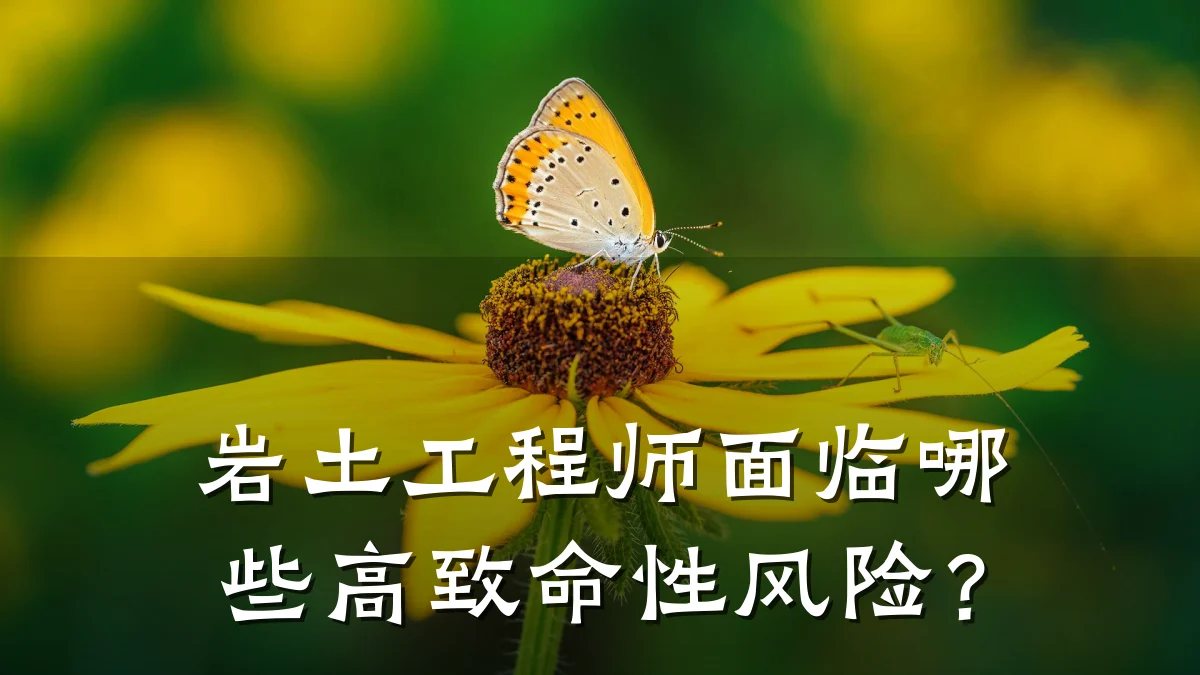 岩土工程师面临哪些高致命性风险？