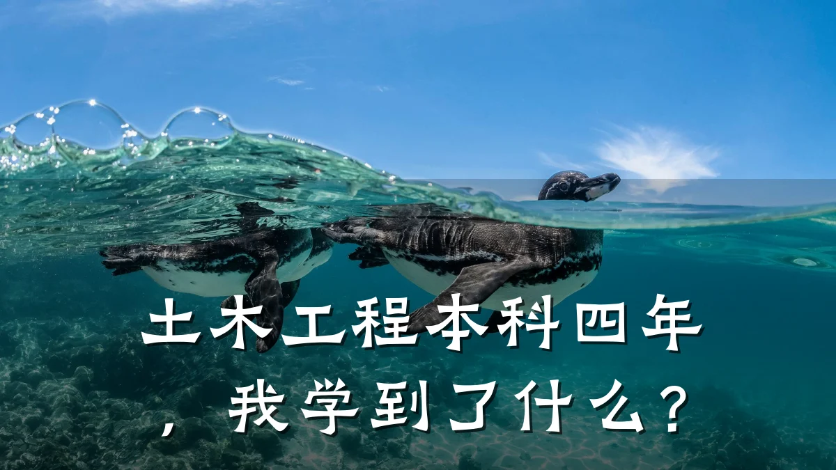 土木工程本科四年,我学到了什么?
