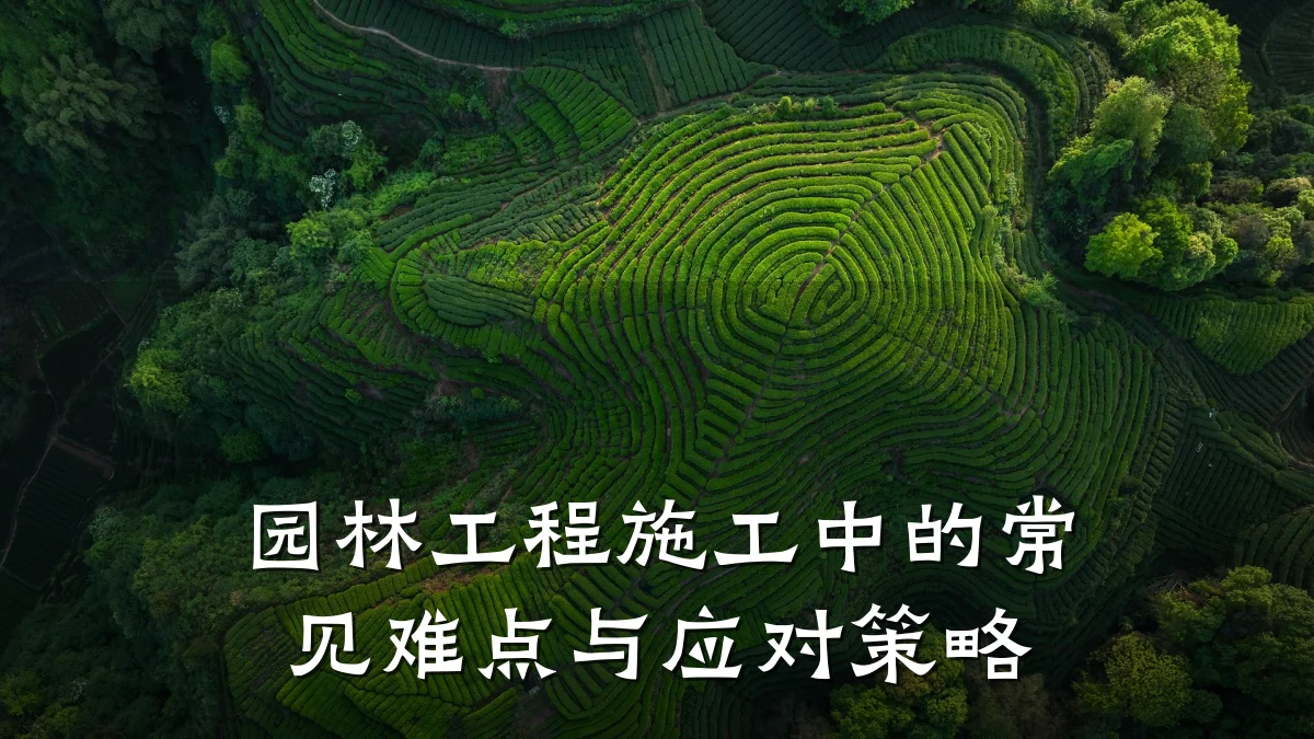 园林工程施工中的常见难点与应对策略