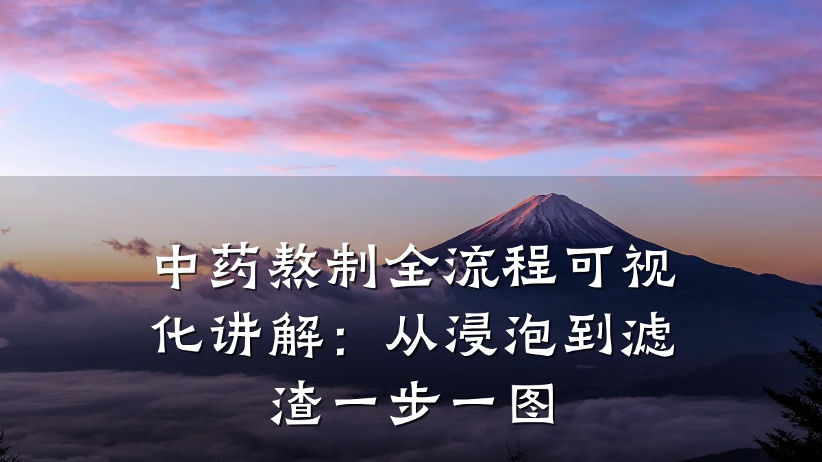 中药熬制全流程可视化讲解：从浸泡到滤渣一步一图