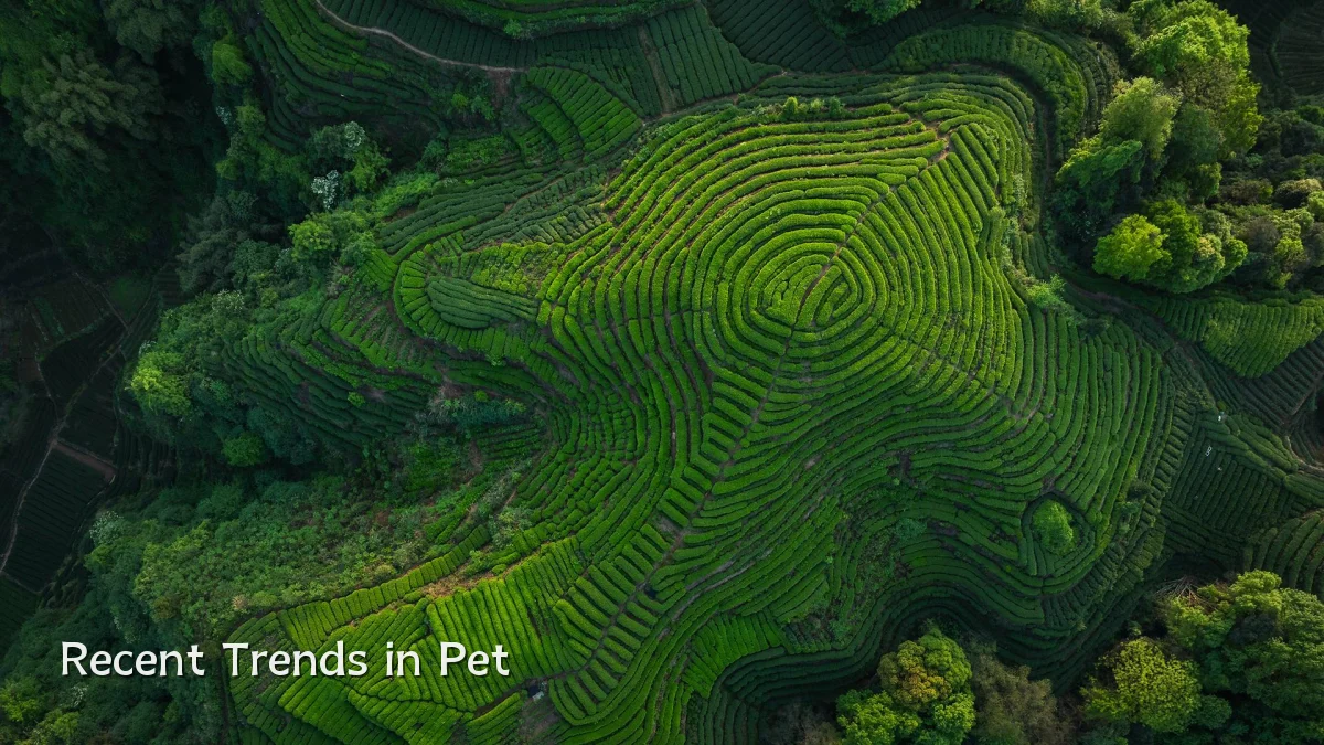 Recent Trends in Pet