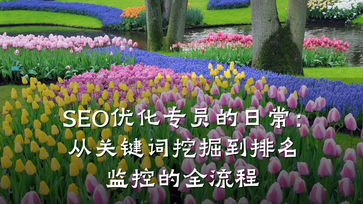 SEO优化专员的日常：从关键词挖掘到排名监控的全流程