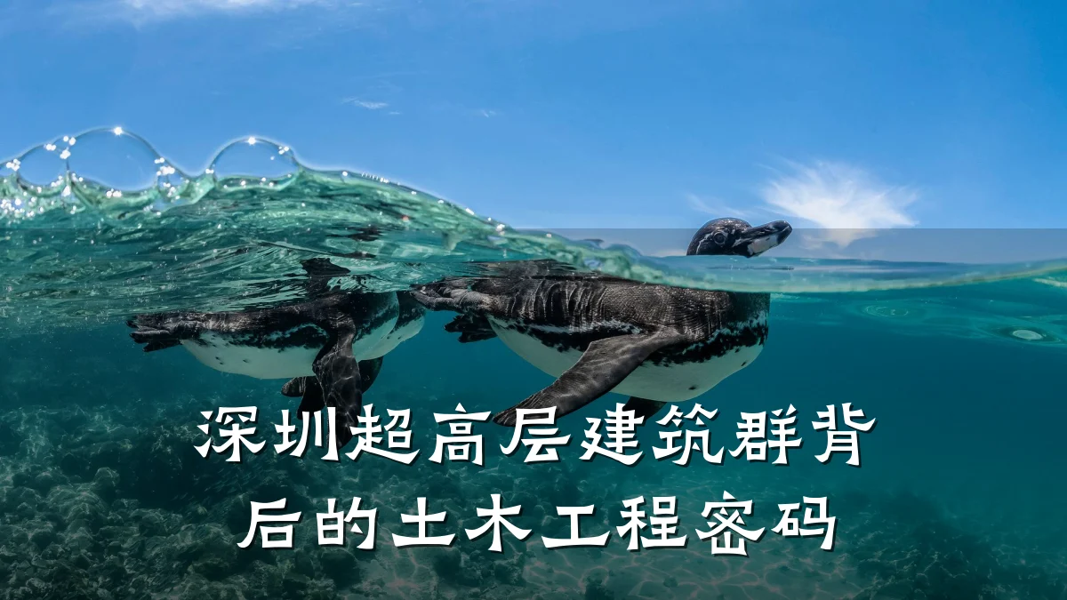 深圳超高层建筑群背后的土木工程密码