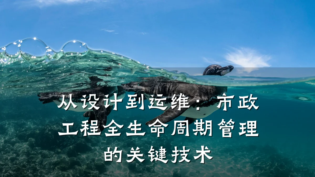 从设计到运维：市政工程全生命周期管理的关键技术