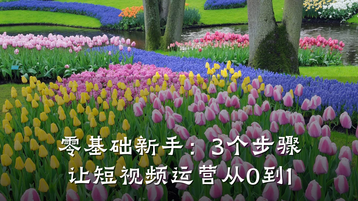 零基础新手：3个步骤让短视频运营从0到1