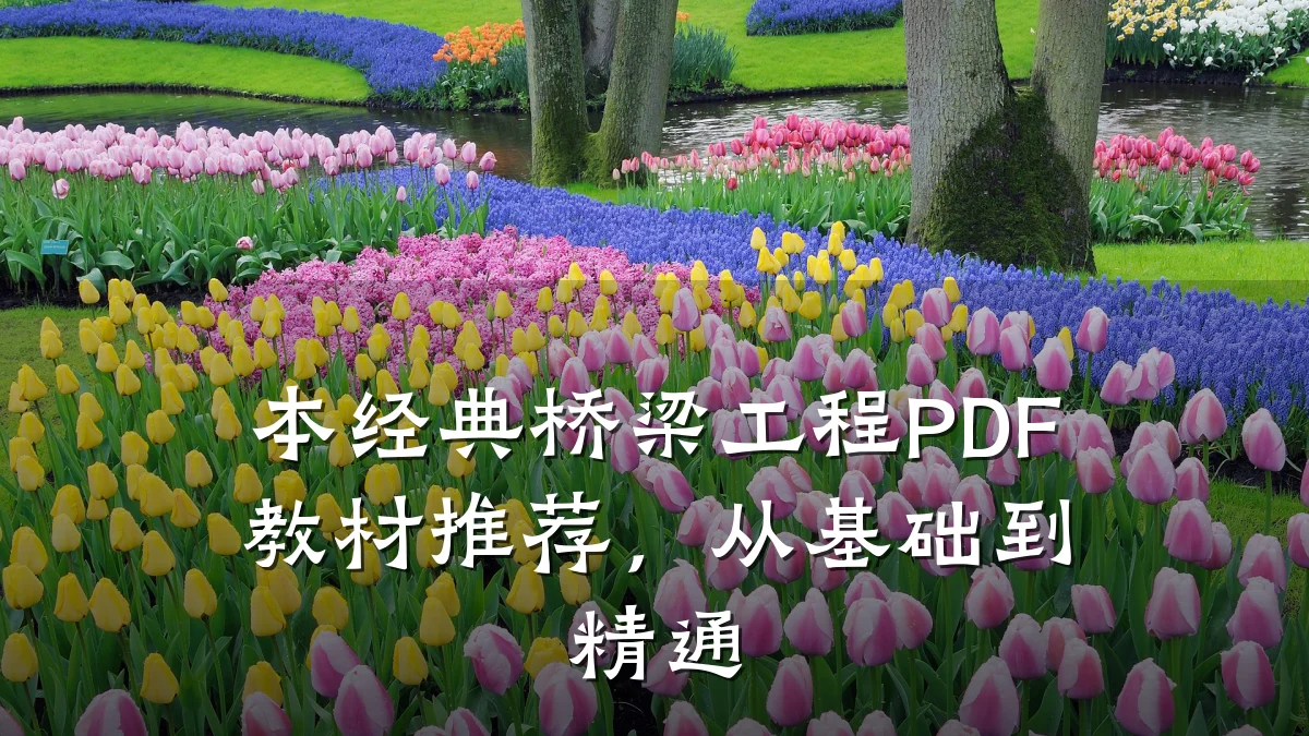 本经典桥梁工程PDF教材推荐,从基础到精通