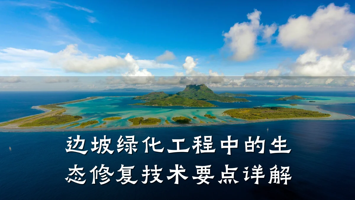 边坡绿化工程中的生态修复技术要点详解