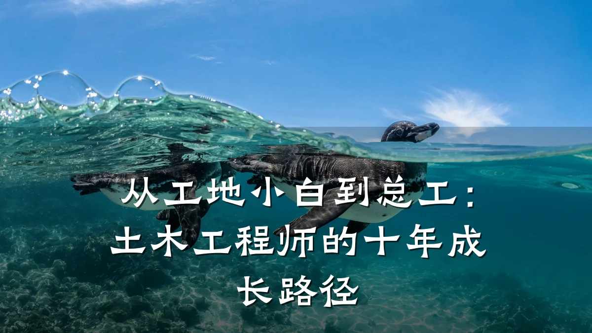 从工地小白到总工:土木工程师的十年成长路径