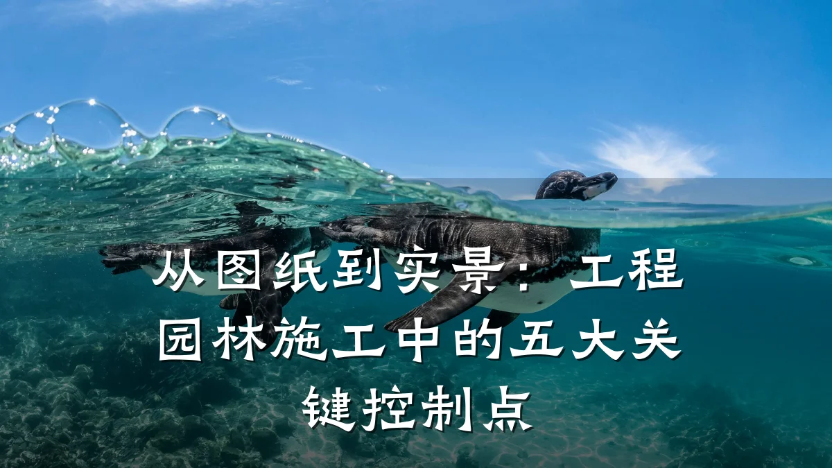 从图纸到实景:工程园林施工中的五大关键控制点