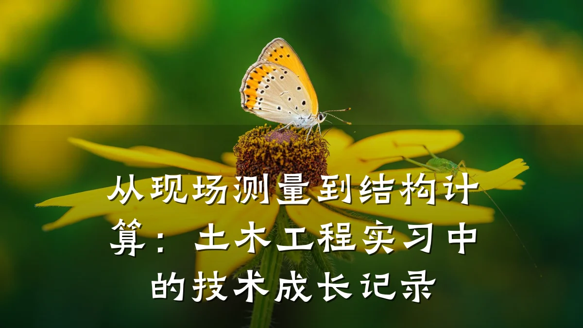 从现场测量到结构计算:土木工程实习中的技术成长记录