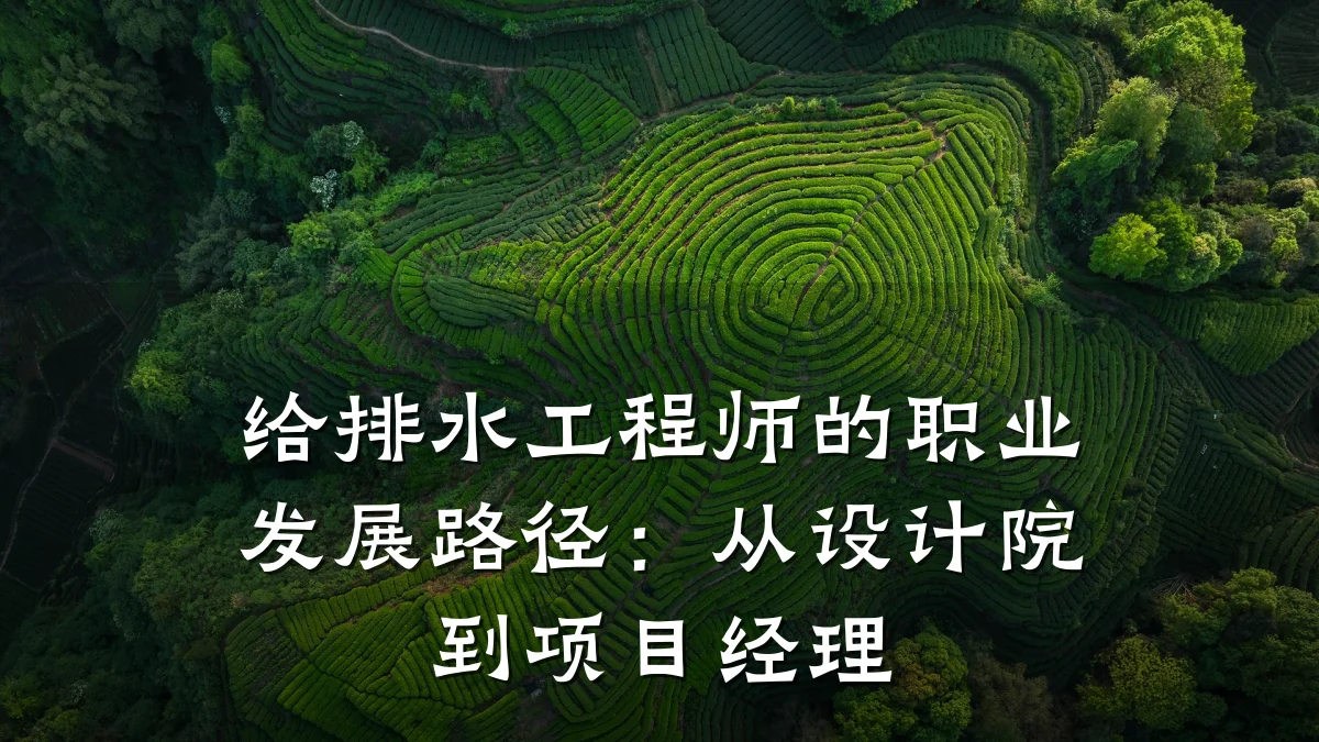 给排水工程师的职业发展路径:从设计院到项目经理