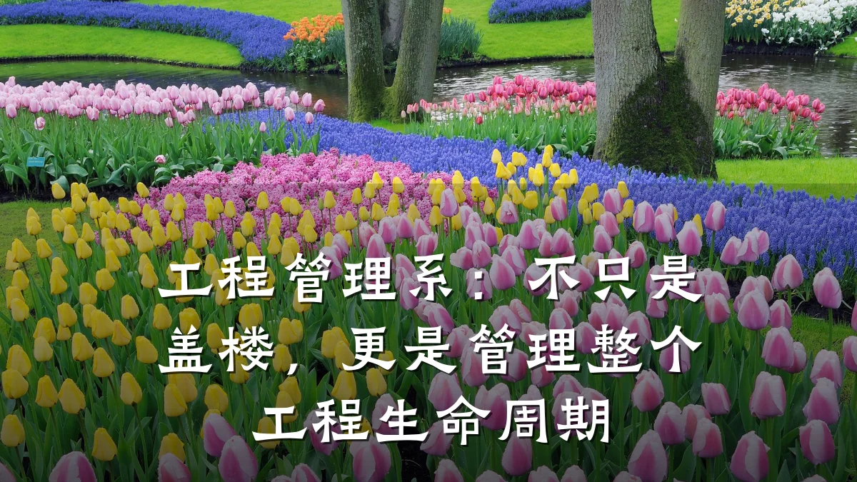 工程管理系:不只是盖楼,更是管理整个工程生命周期