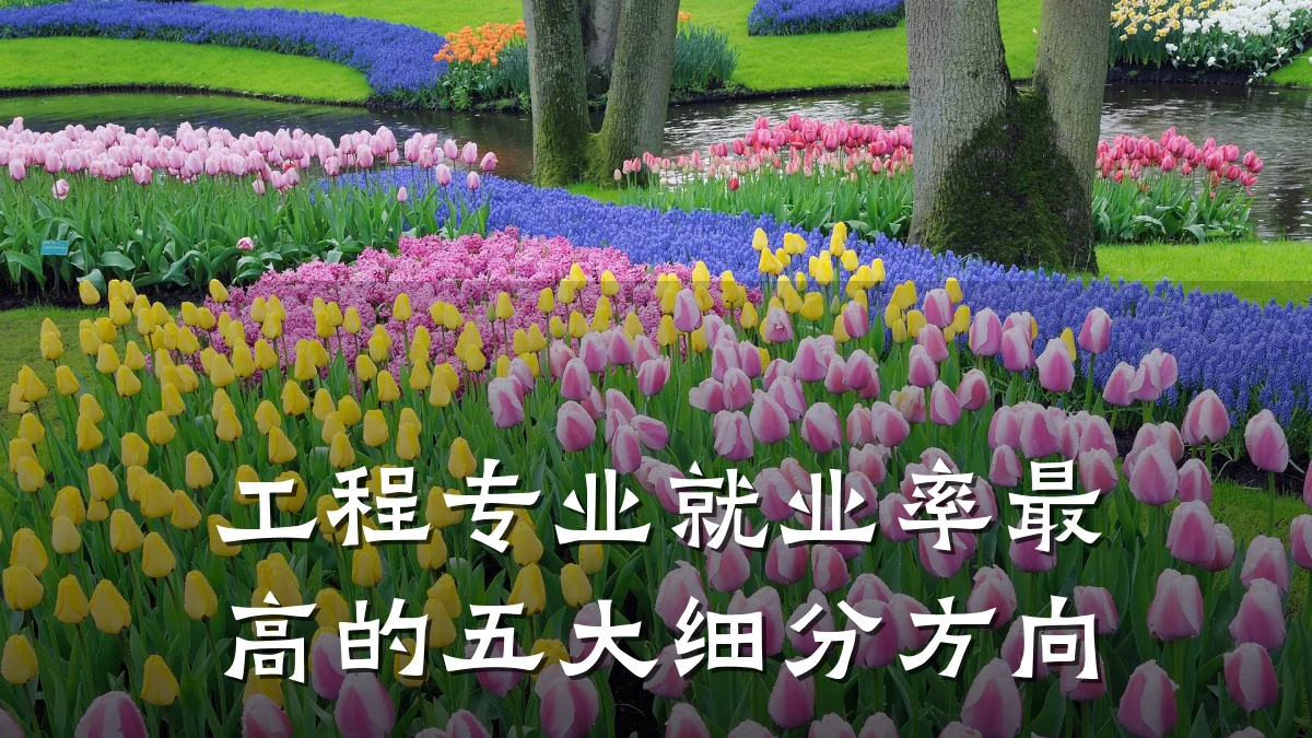 工程专业就业率最高的五大细分方向