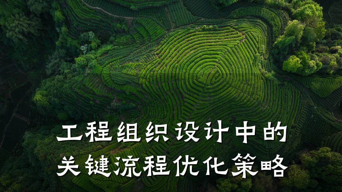 工程组织设计中的关键流程优化策略