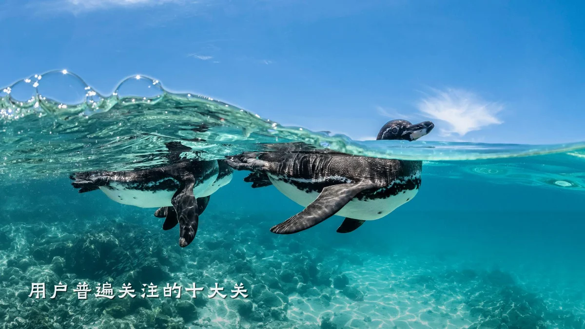 用户普遍关注的十大关