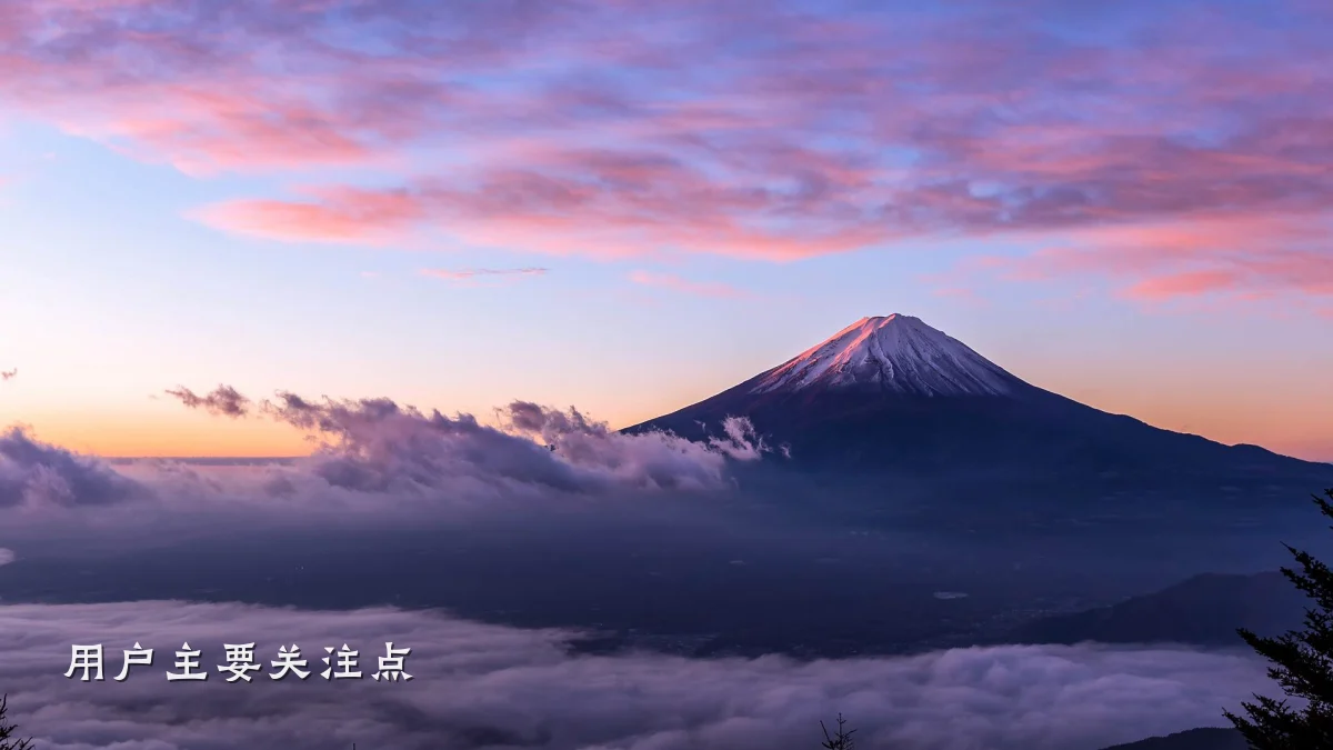 用户主要关注点