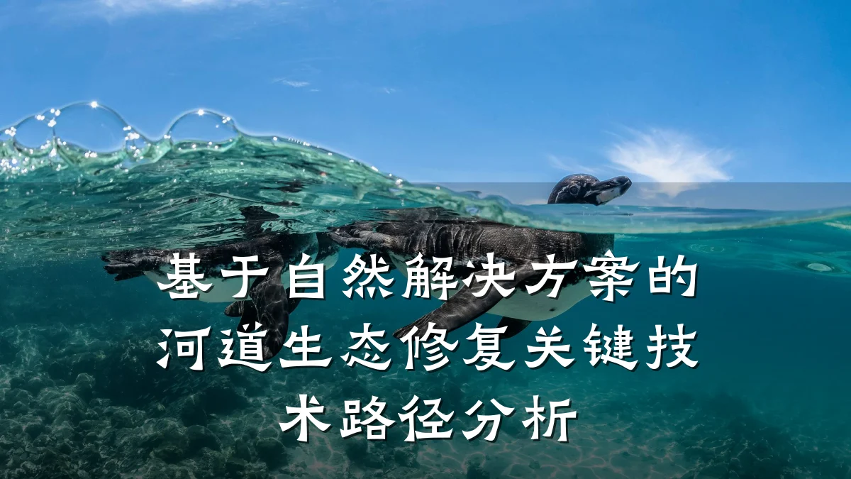 基于自然解决方案的河道生态修复关键技术路径分析