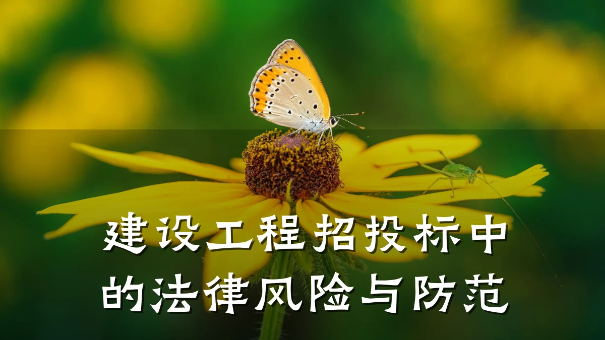 建设工程招投标中的法律风险与防范