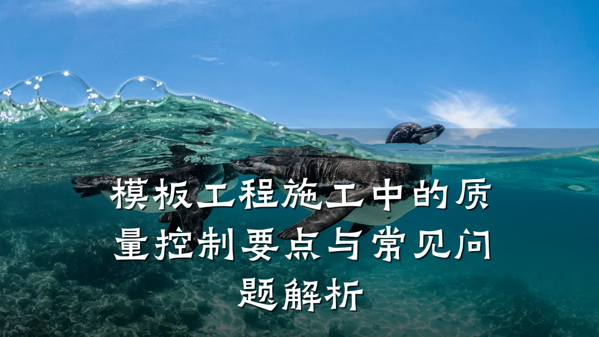 模板工程施工中的质量控制要点与常见问题解析