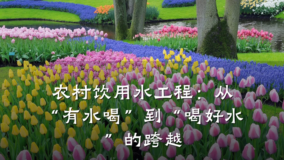 农村饮用水工程:从“有水喝”到“喝好水”的跨越