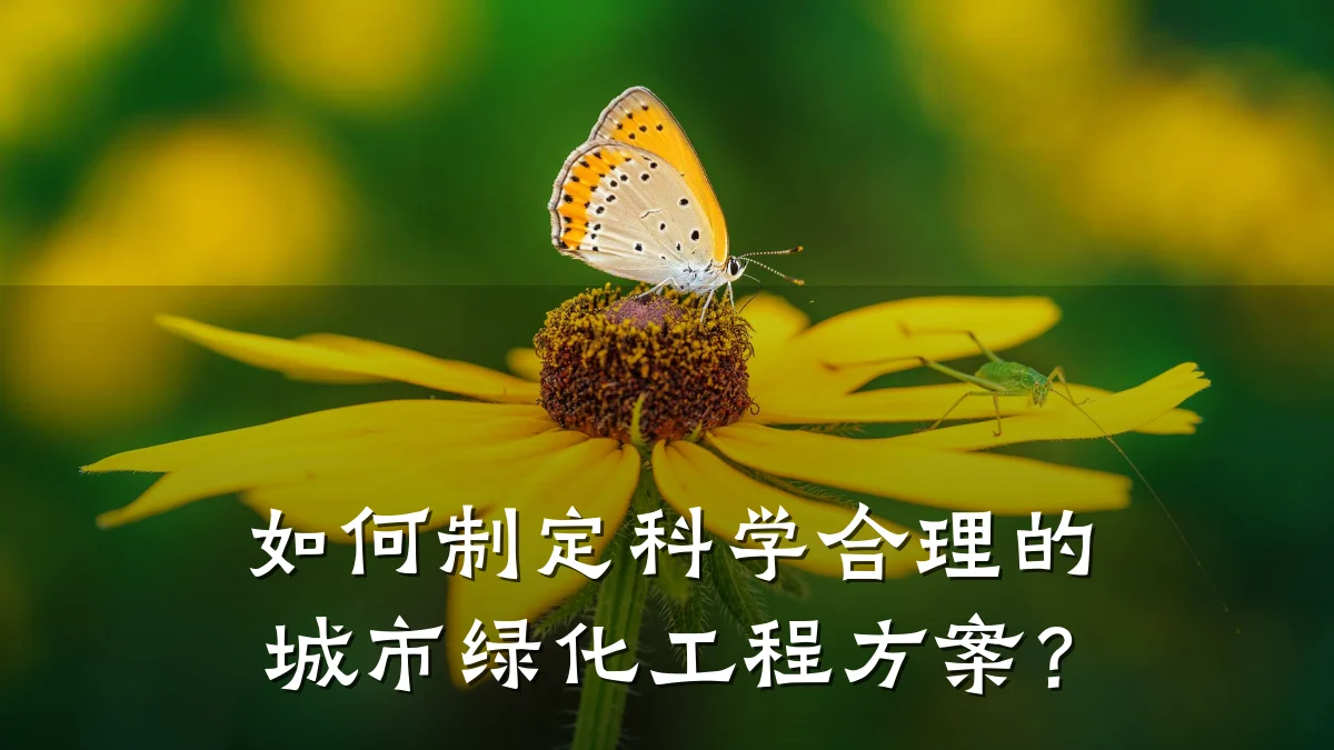 如何制定科学合理的城市绿化工程方案？