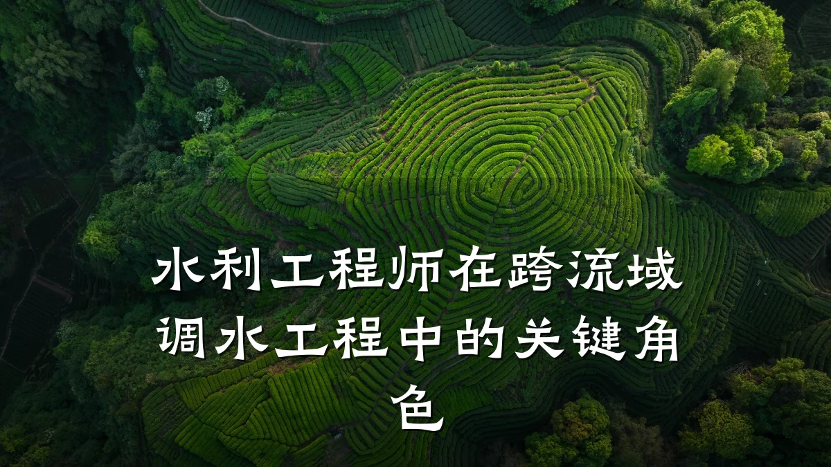 水利工程师在跨流域调水工程中的关键角色
