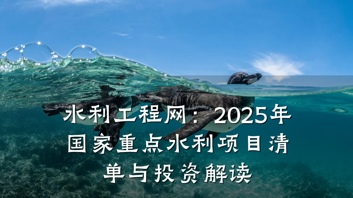 水利工程网:2025年国家重点水利项目清单与投资解读