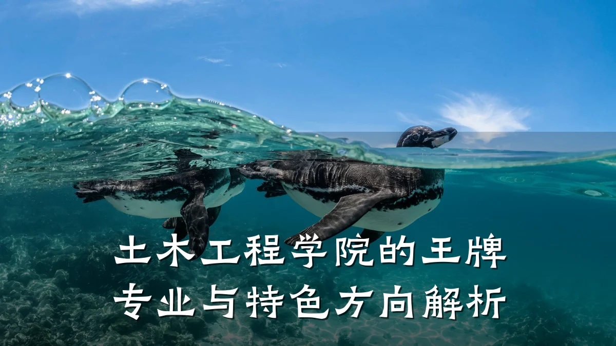 土木工程学院的王牌专业与特色方向解析