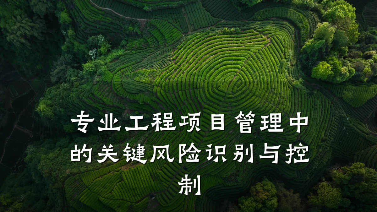 专业工程项目管理中的关键风险识别与控制