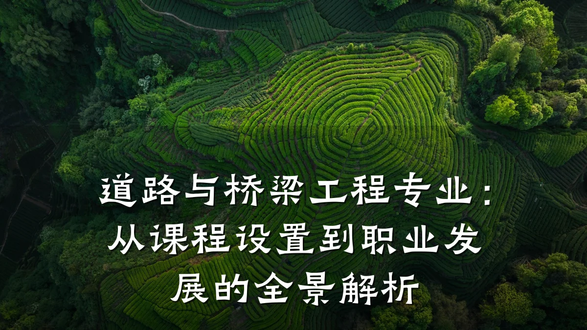 道路与桥梁工程专业：从课程设置到职业发展的全景解析