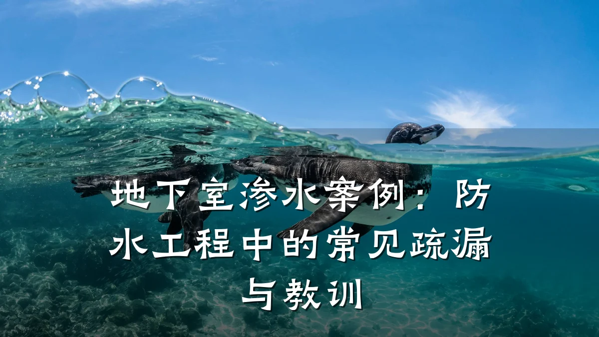 地下室渗水案例：防水工程中的常见疏漏与教训