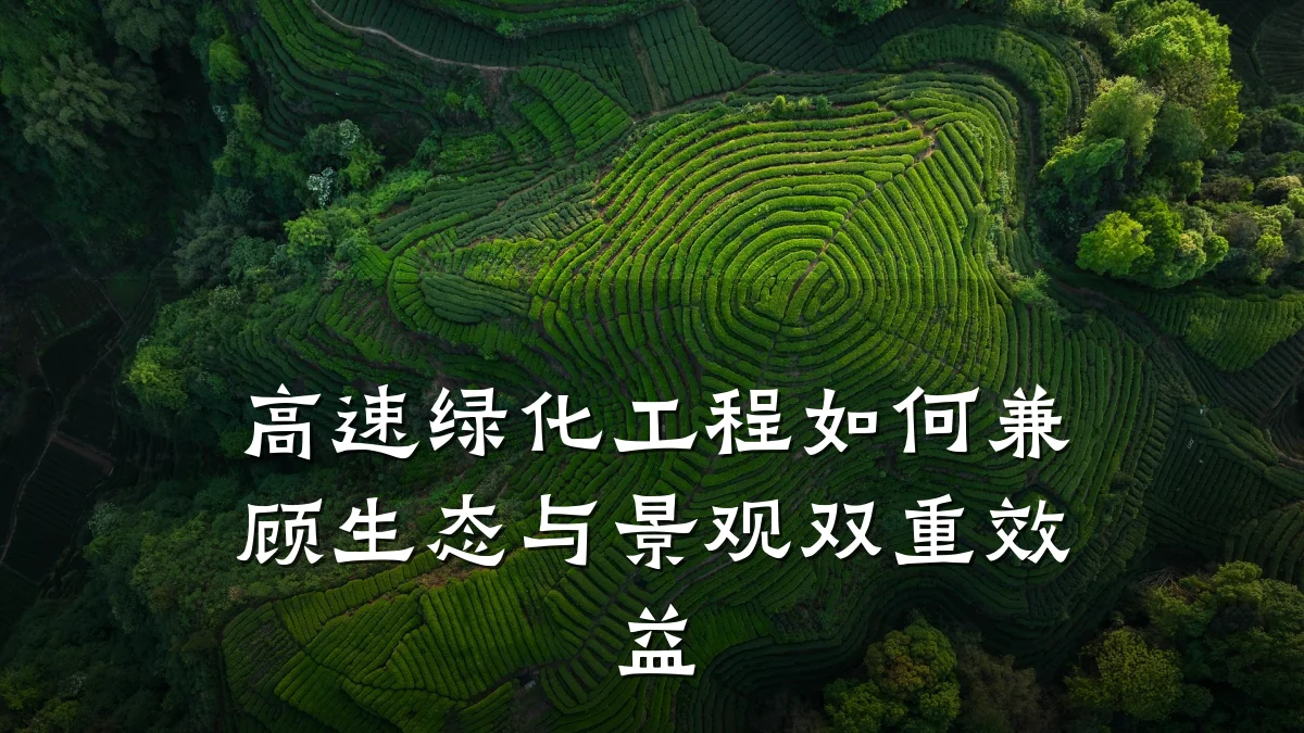高速绿化工程如何兼顾生态与景观双重效益
