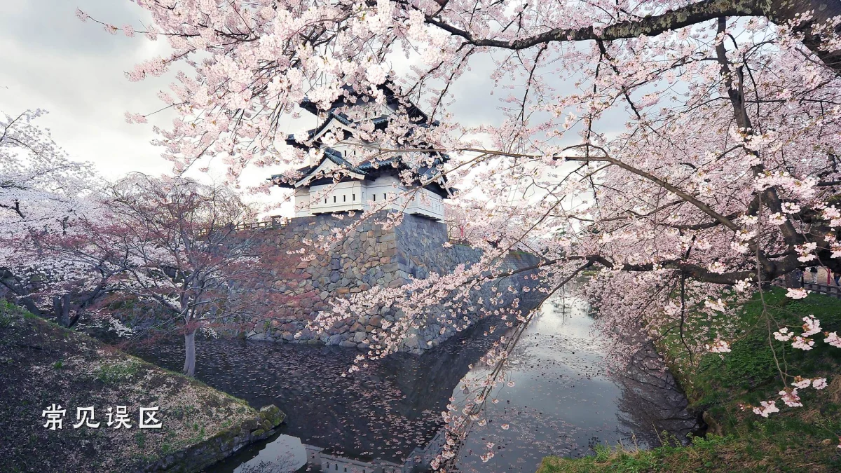 常见误区