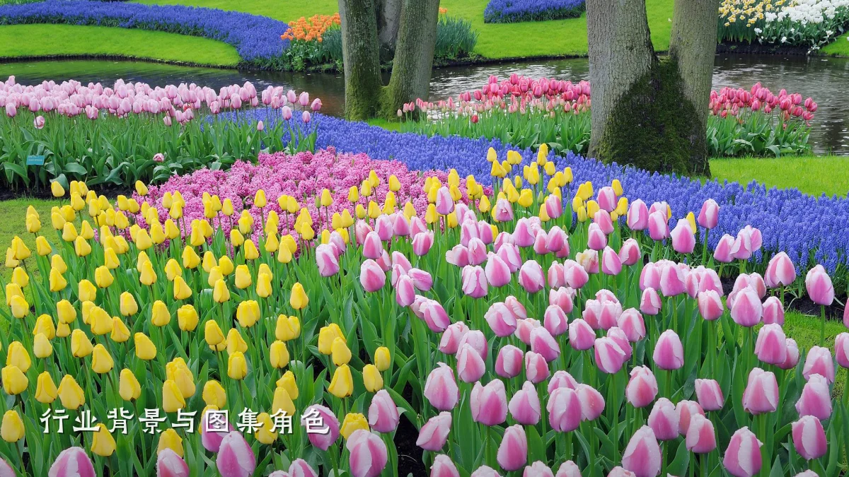 行业背景与图集角色