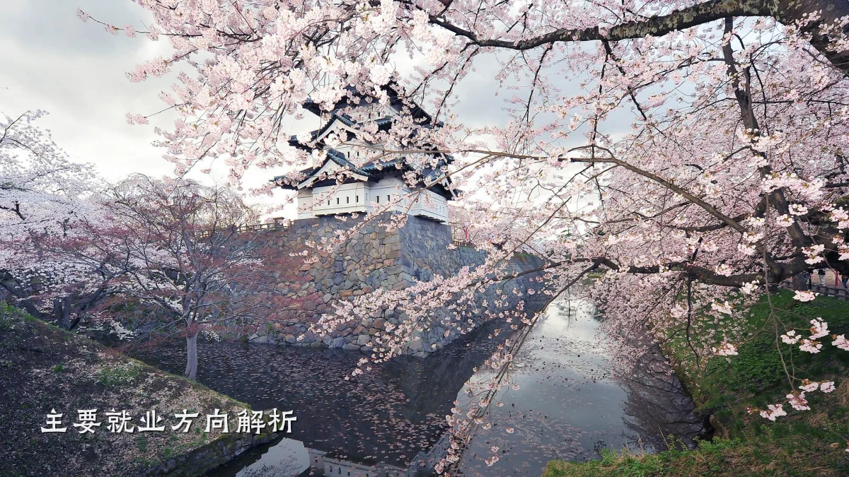主要就业方向解析