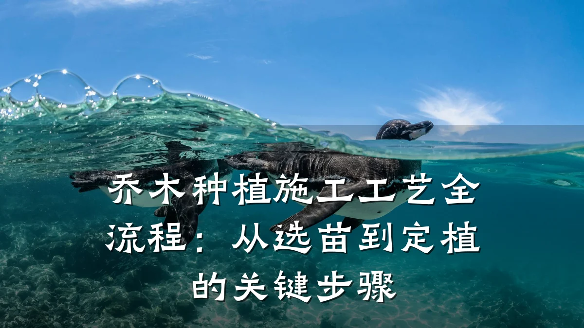 乔木种植施工工艺全流程:从选苗到定植的关键步骤