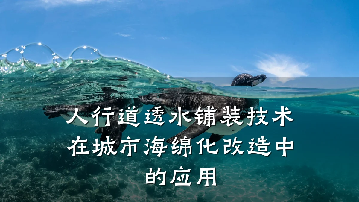 人行道透水铺装技术在城市海绵化改造中的应用