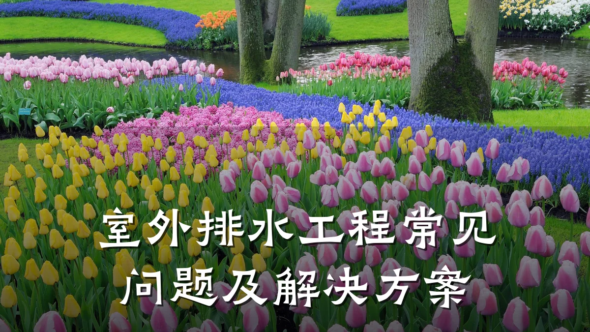 室外排水工程常见问题及解决方案