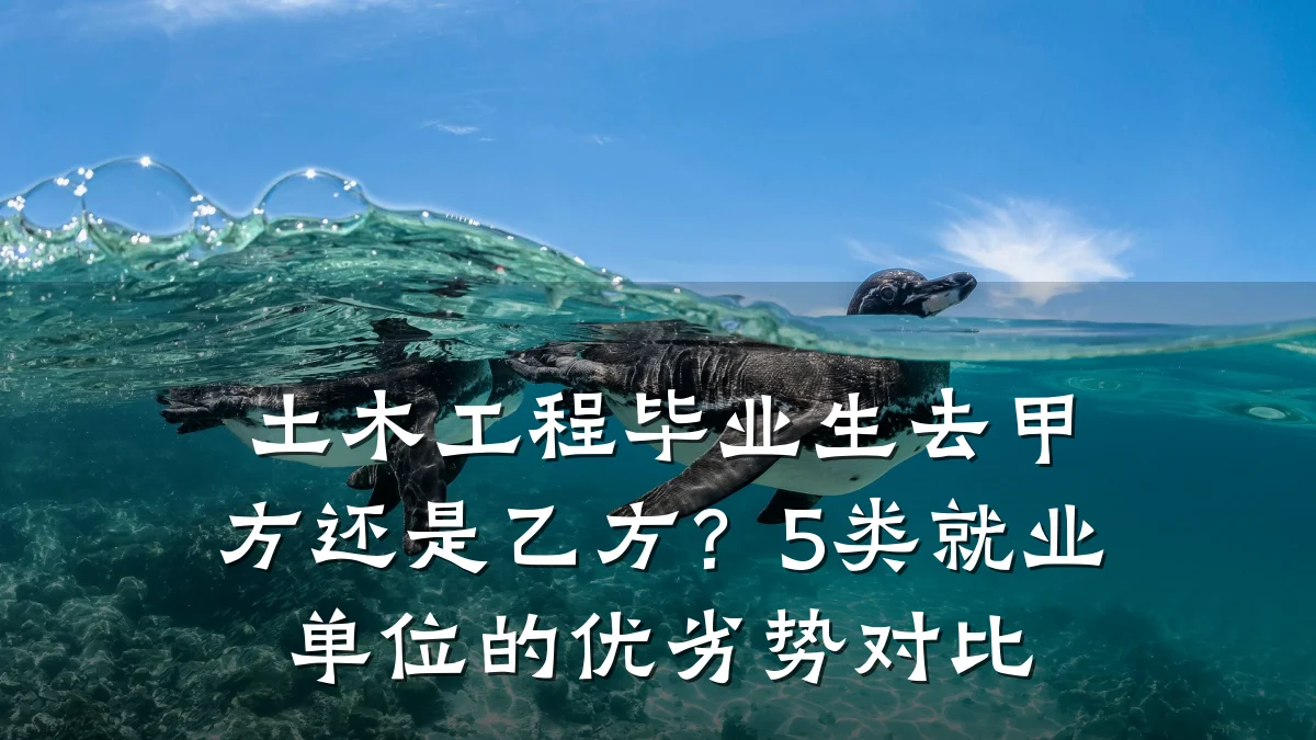土木工程毕业生去甲方还是乙方?5类就业单位的优劣势对比