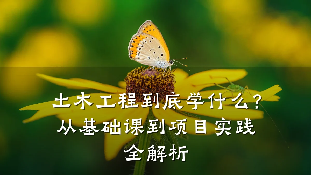 土木工程到底学什么？从基础课到项目实践全解析
