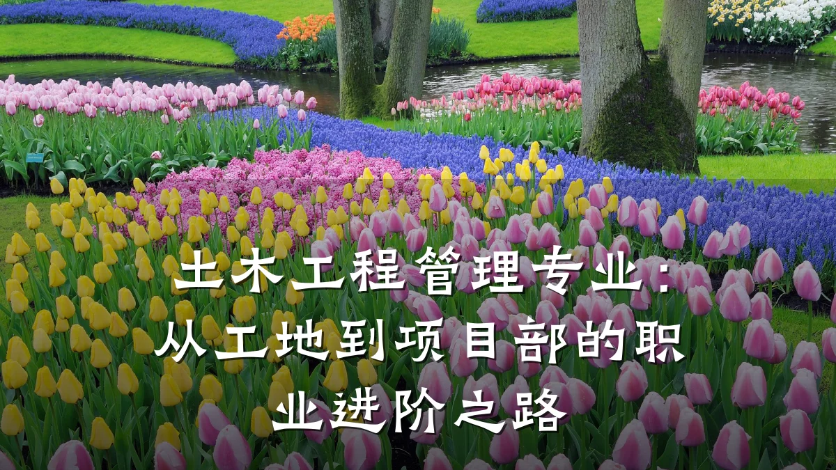 土木工程管理专业:从工地到项目部的职业进阶之路