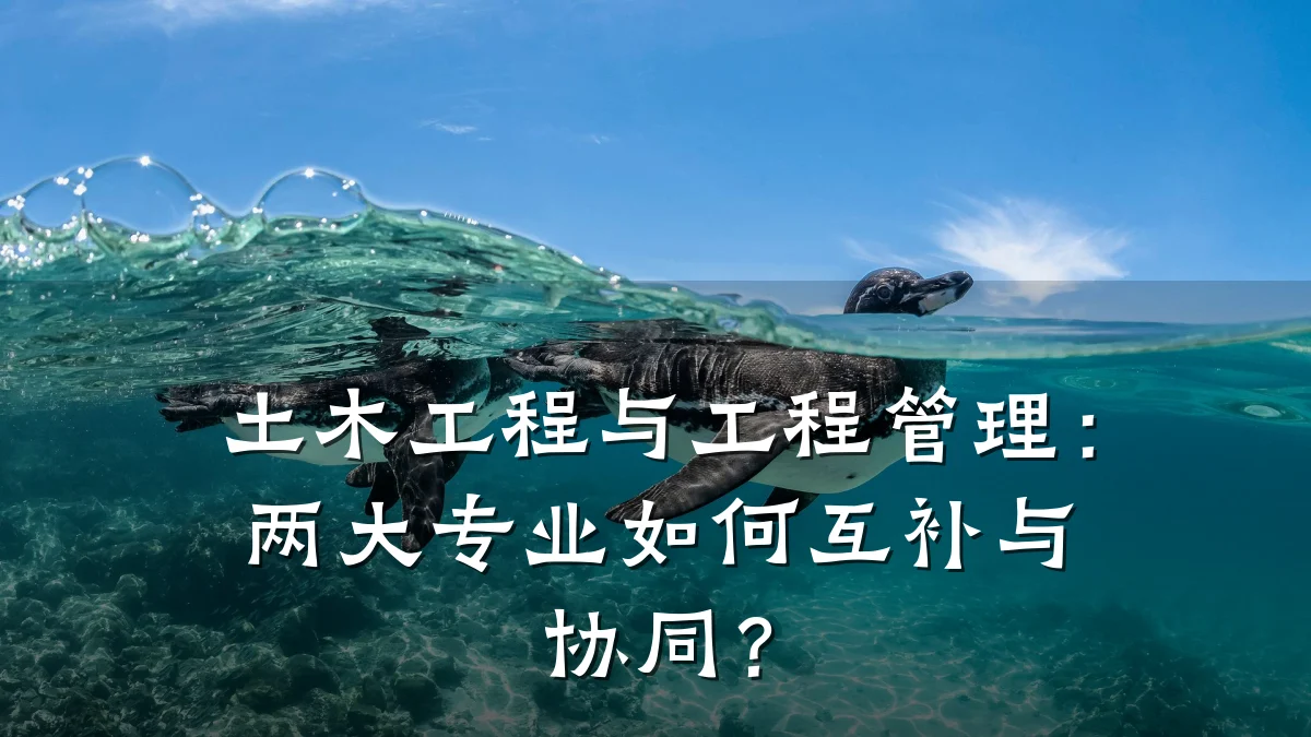 土木工程与工程管理:两大专业如何互补与协同?