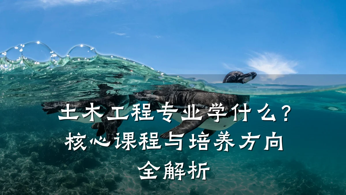 土木工程专业学什么?核心课程与培养方向全解析