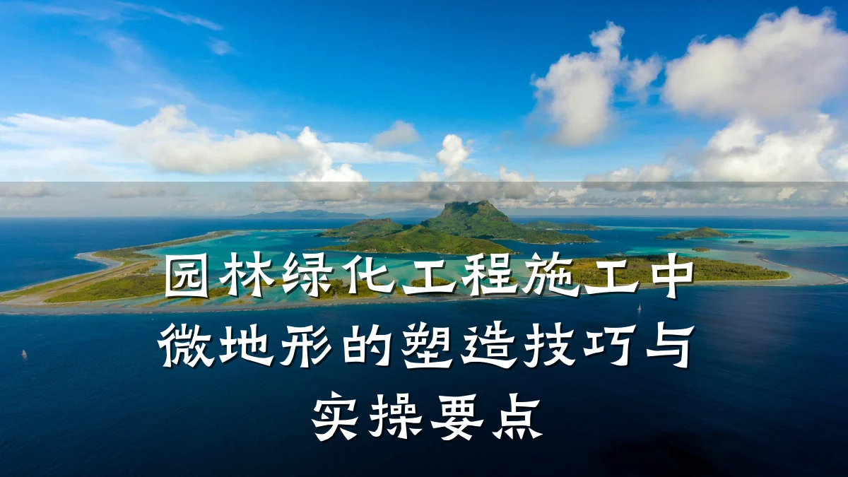 园林绿化工程施工中微地形的塑造技巧与实操要点