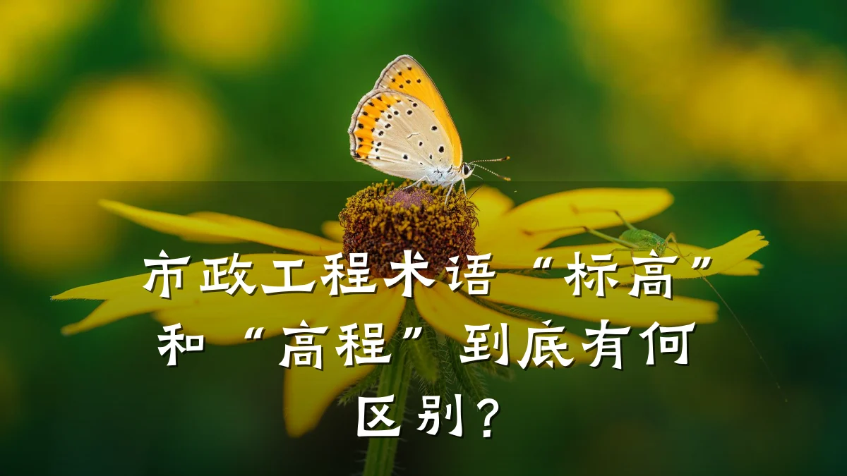 市政工程术语“标高”和“高程”到底有何区别?