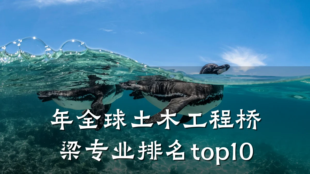 年全球土木工程桥梁专业排名top10